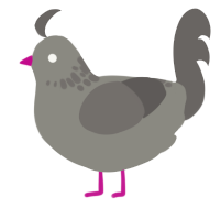 pebble, a ash and grey chicken with a neck-speckle pattern
