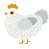 A white and silver chicken with a lace pattern