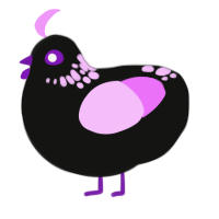 A black and lavender chicken with a neck-speckle pattern