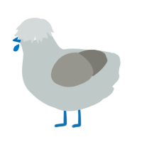 A silver and ash chicken