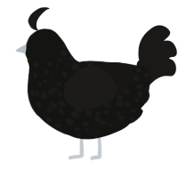A black and sable chicken with a speckle pattern