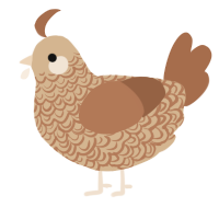 A beige and brown chicken with a double-lace pattern