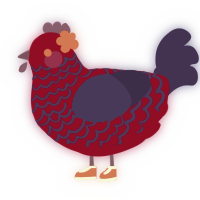 A maroon and navy chicken with a lace pattern