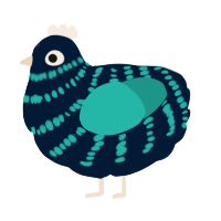 A tumblr and turquoise chicken with a bar pattern