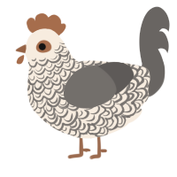 A cream and grey chicken with a double-lace pattern