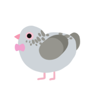 A mist and ash chicken with a neck-speckle pattern