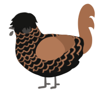 A black and brown chicken with a lace pattern