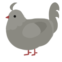 A ash chicken with a head pattern