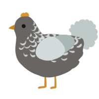 A grey and silver chicken with a half-lace pattern