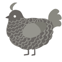 A grey and ash chicken with a lace pattern