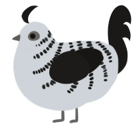 A mist and sable chicken with a half-bar pattern
