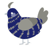 A navy and ash chicken with a bar pattern