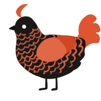 A sable and vermilion chicken with a lace pattern