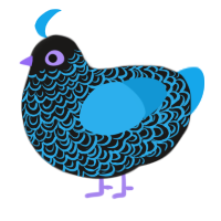 Neon, a sable and sky chicken with a double-lace pattern
