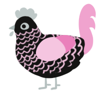 Blossom, a black and pink chicken with a lace pattern