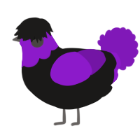 Offbrand FOB, a sable and violet chicken with a head pattern