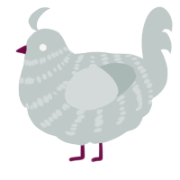 (unnamed), a silver chicken with a bar pattern