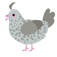 evil little guy, a silver and ash chicken with a speckle pattern