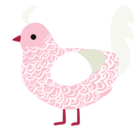 A rose and white chicken with a double-lace pattern