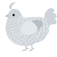 A mist chicken with a lace pattern