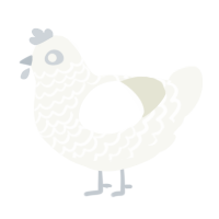 (unnamed), a white chicken with a lace pattern