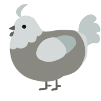 A ash and silver chicken with a head pattern
