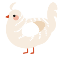Cheddar, a cream chicken with a half-bar pattern