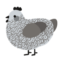 (unnamed), a mist and grey chicken with a double-lace pattern