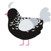 A sable and mist chicken with a half-lace pattern