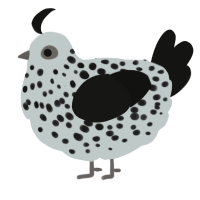 A silver and black chicken with a speckle pattern