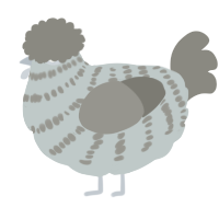 A silver and ash chicken with a bar pattern