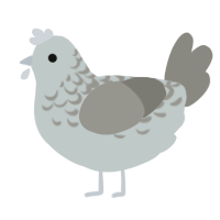 A silver and ash chicken with a half-lace pattern