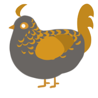 A grey and ochre chicken with a half-lace pattern