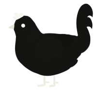 Cinder, a black chicken with a neck-band pattern
