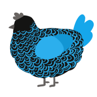 A black and sky chicken with a double-lace pattern