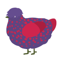 A overcast and crimson chicken with a speckle pattern