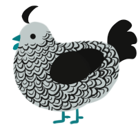A silver and black chicken with a double-lace pattern