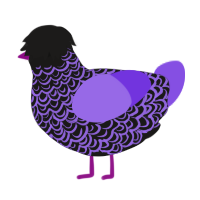 A sable and blurple chicken with a double-lace pattern