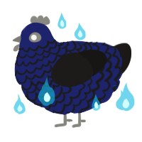 A navy and sable chicken with a lace pattern