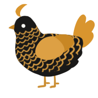 Touch, a sable and orange chicken with a lace pattern