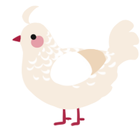 A cream chicken with a half-lace pattern