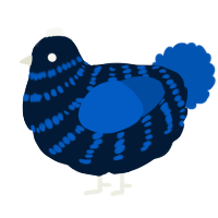 Seafloor, a tumblr and ultramarine chicken with a bar pattern