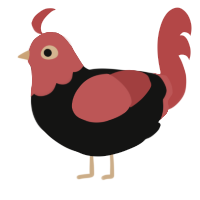 Canned Tomato, a black and red chicken with a head pattern