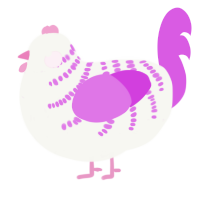 A white and orchid chicken with a half-bar pattern