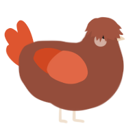 Timide, a russet and vermilion chicken