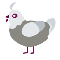 A ash and mist chicken with a head pattern
