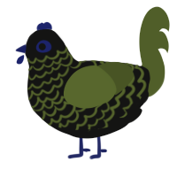 A black and olive chicken with a lace pattern