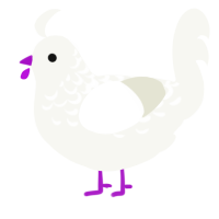 A white chicken with a half-lace pattern