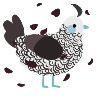 A black and silver chicken with a double-lace pattern