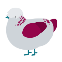 A mist and maroon chicken with a neck-band pattern